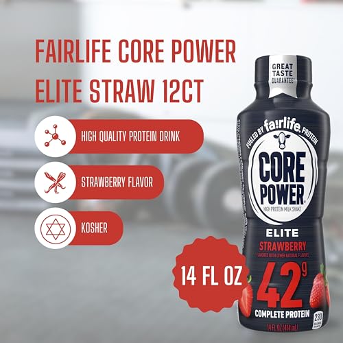 Chocolate Protein Shake 14 Fl Oz Pack of 12 H794