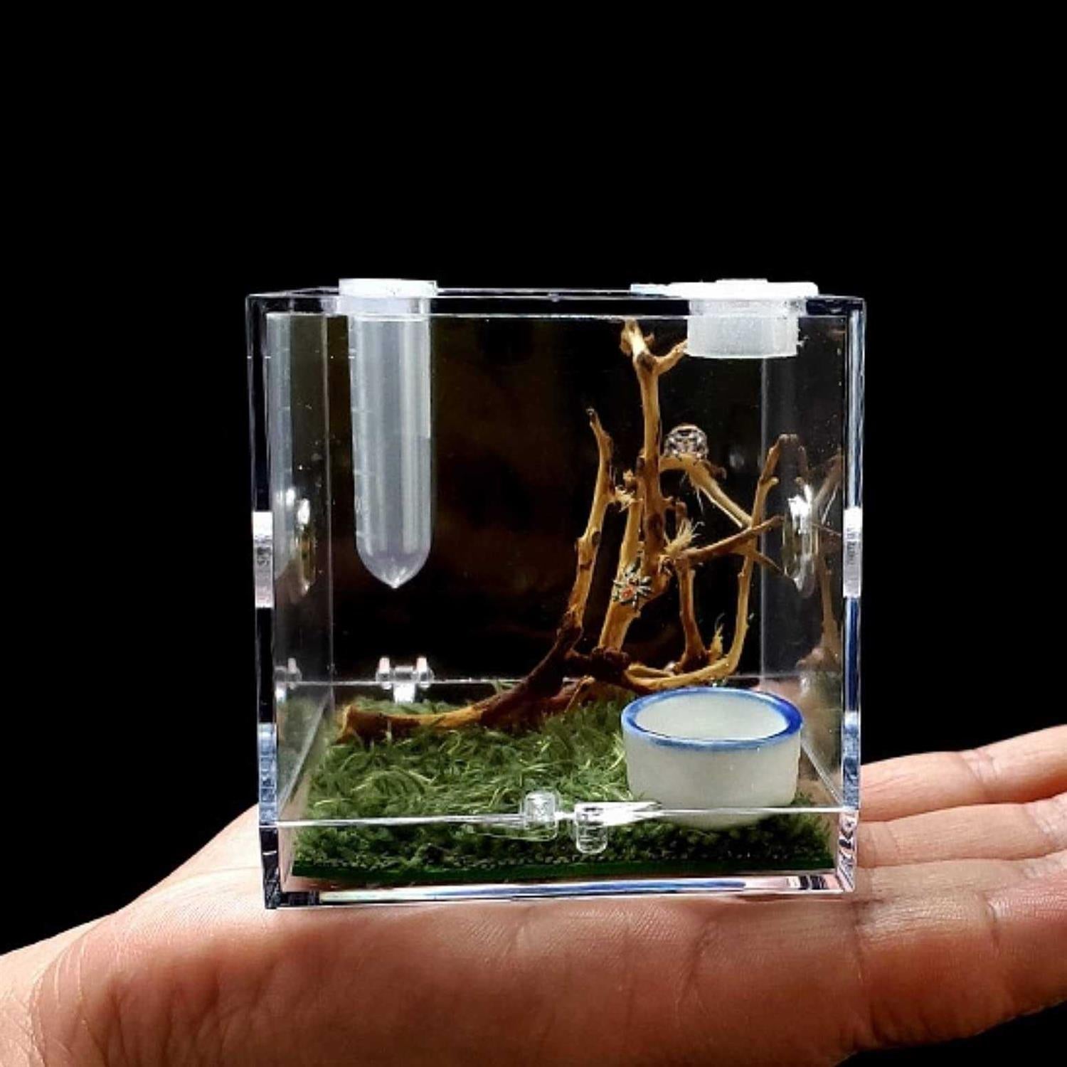 Spider Terrarium Acrylic Reptile Breeding Box with Dropper Tongs D573