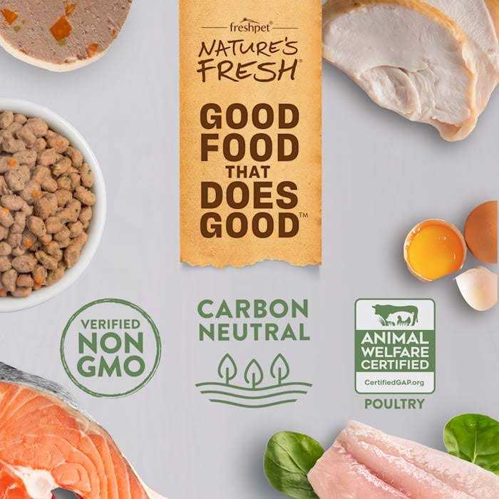 Grain Free Chicken Recipe Dog Food F935414