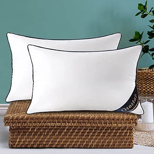 Pack of 2 Throw Pillow Inserts, 12x20, White, 100% Cotton Cover H61340