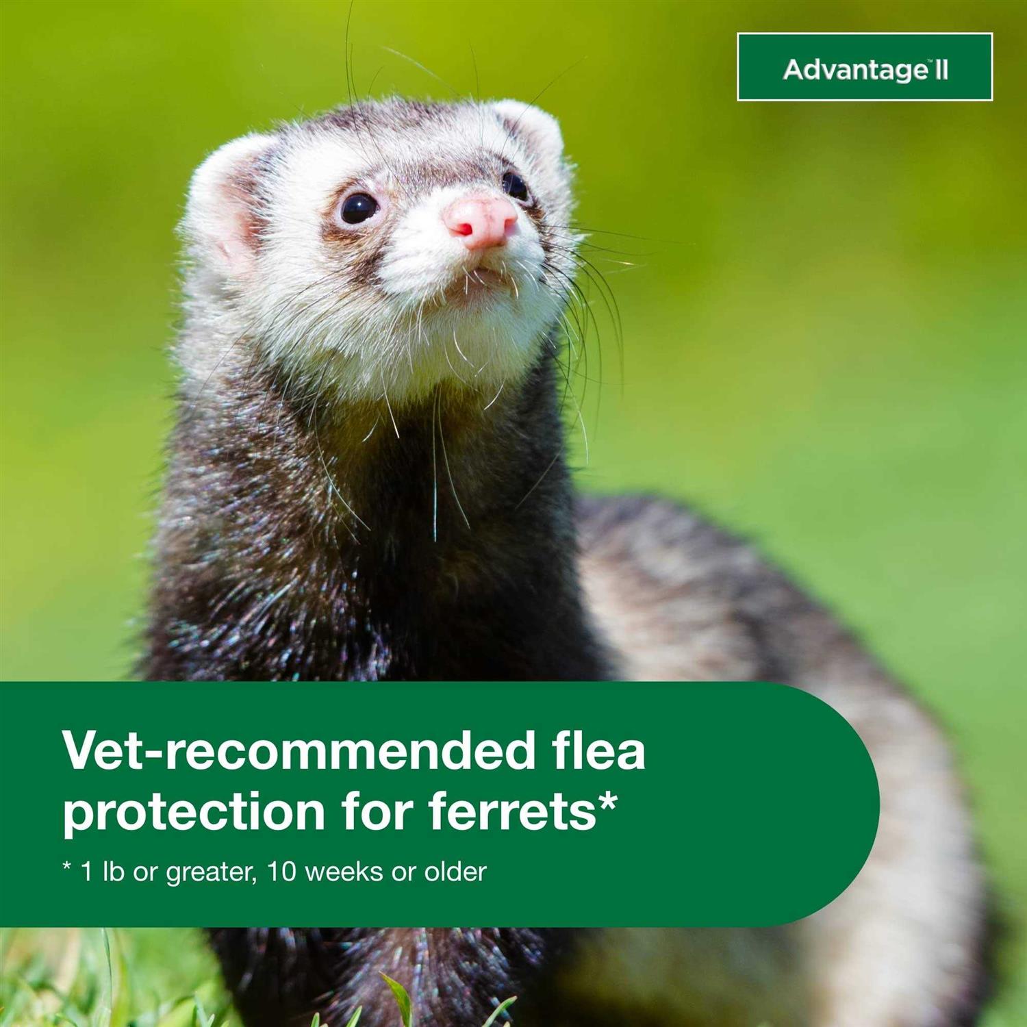 Advantage II Flea Treatment for Ferrets R99567