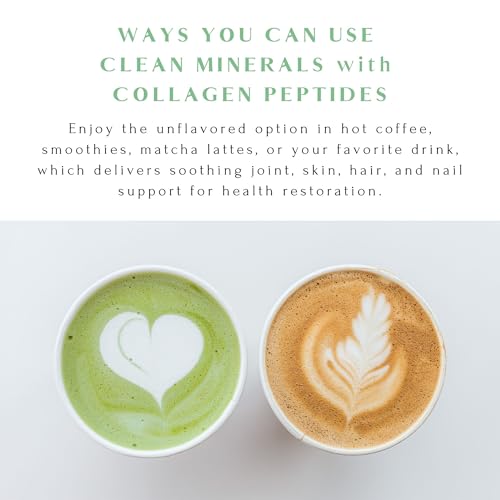Hot Cocoa Clean Minerals with Collagen Peptides 675 G Q132462