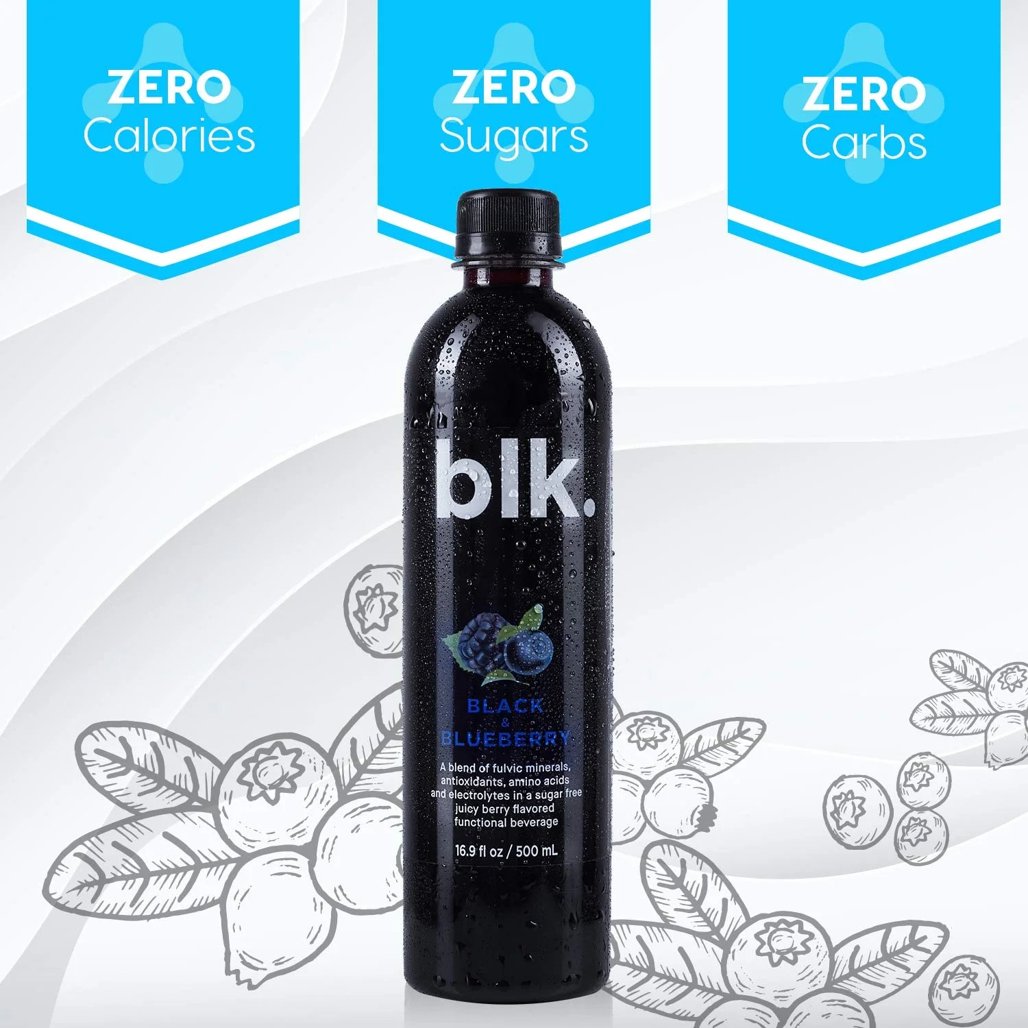 Black & Blueberry Fulvic Enriched Mineral Bottled Water 16.9oz (12 Pack) G7249