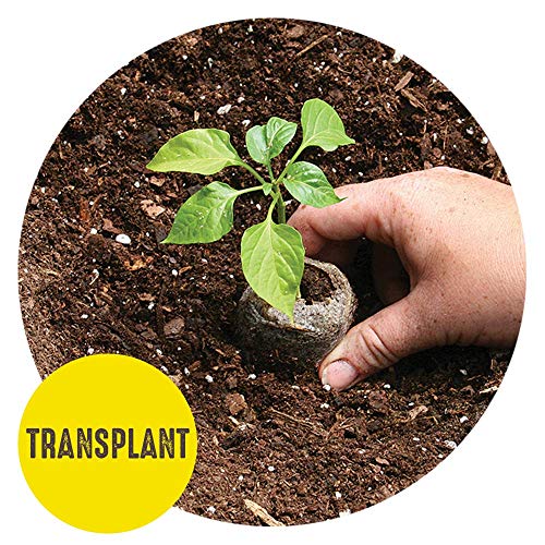 36 Cell 36mm Peat Pellets Seed Starting Tray Kit, 3 Pack G5206
