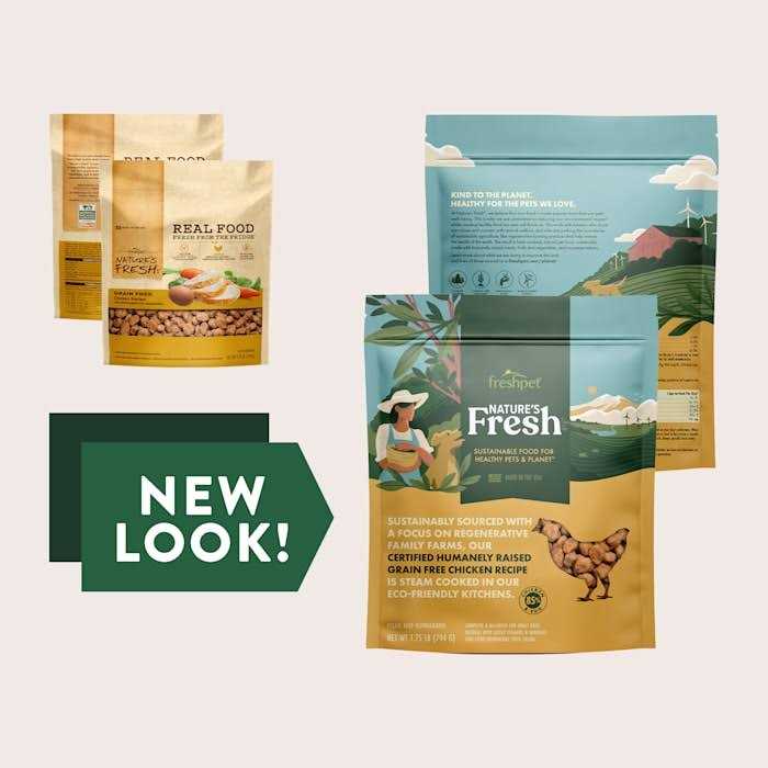 Grain Free Chicken Recipe Dog Food F935414
