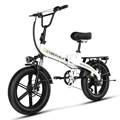 20" Fat Tire 1000W Folding Electric Bike with 48V Removable Battery V63745