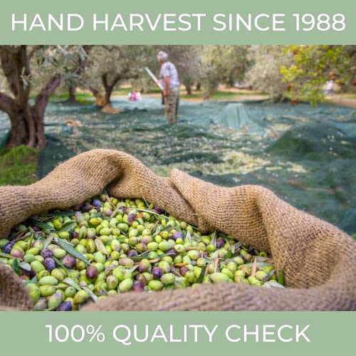 Extra Virgin Olive Oil Y21514