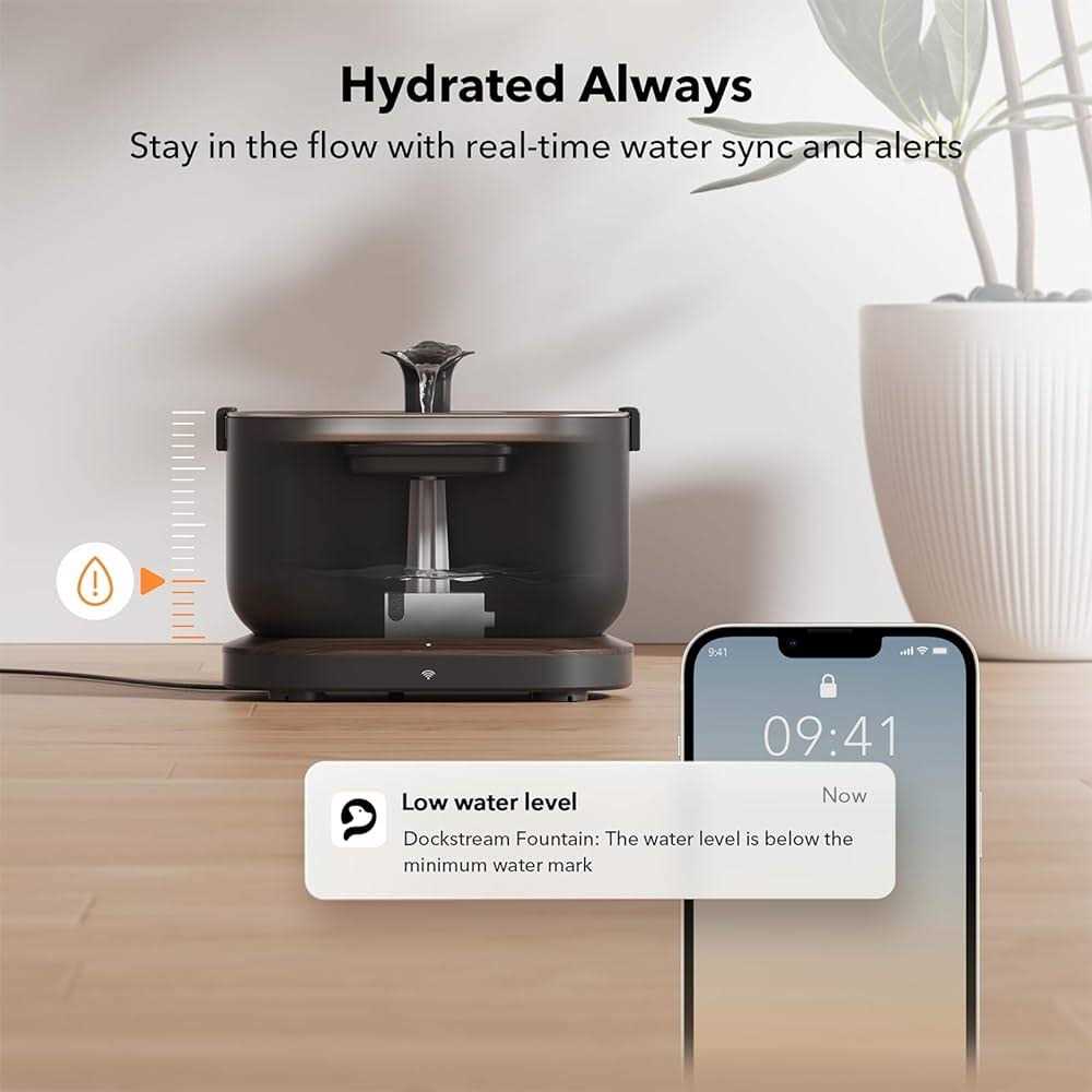 2.5L Cat Water Fountain with Wireless Pump N177779