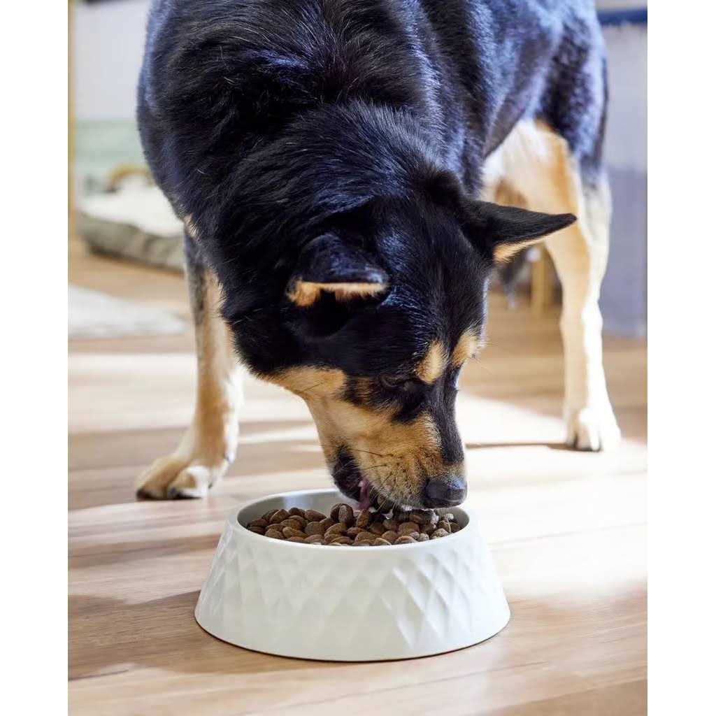 Farmina N&D Ocean Adult Medium Maxi Herring & Orange Grain Free Dry Dog Food C86378