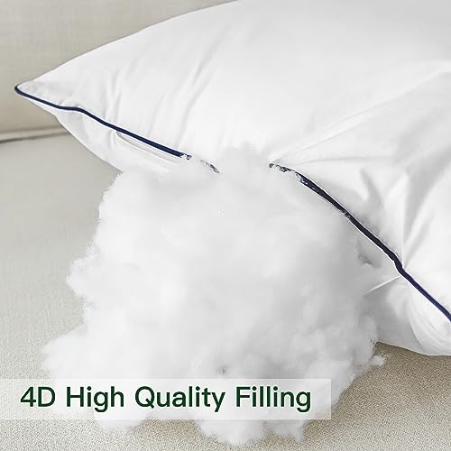 Pack of 2 Throw Pillow Inserts, 12x20, White, 100% Cotton Cover H61340