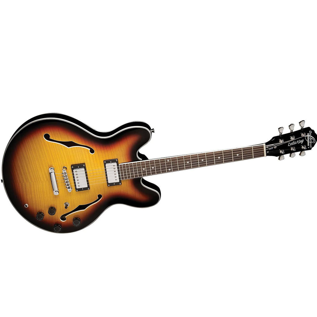 Sunburst Semi Hollowbody Electric Guitar Z1254