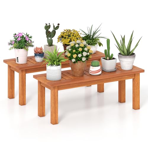 Wooden Plant Stand with Teak Oil Finish D925