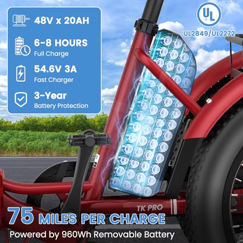 20" Folding 3 Wheels Electric Tricycle with Aluminum Frame V299