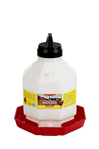 Plastic Poultry Waterer, 3 Gallons K308157