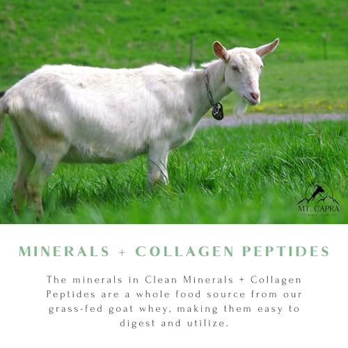 Hot Cocoa Clean Minerals with Collagen Peptides 675 G Q132462