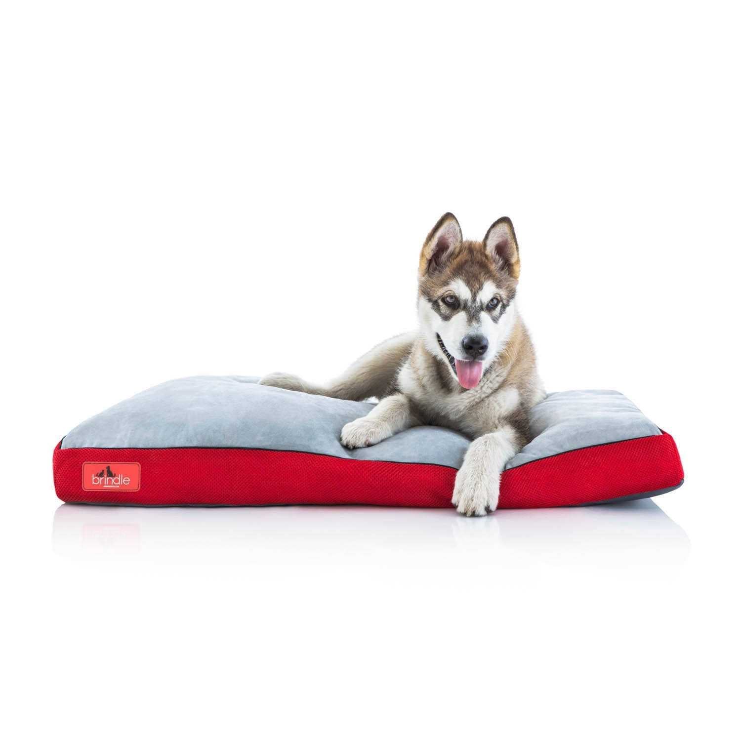 Soft Memory Foam Dog Bed with Removable Washable Cover W135998