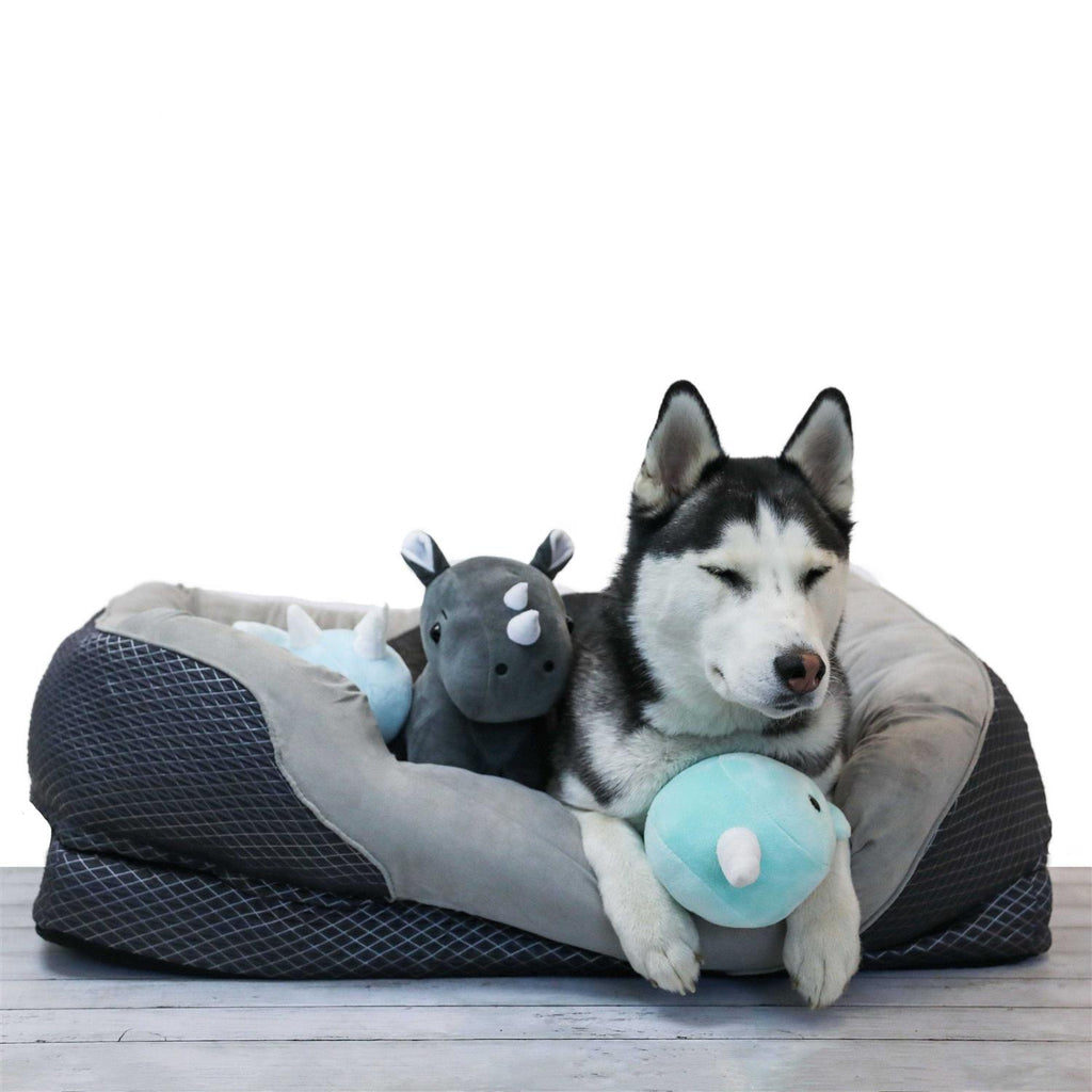 Gray Orthopedic Dog Bed X573
