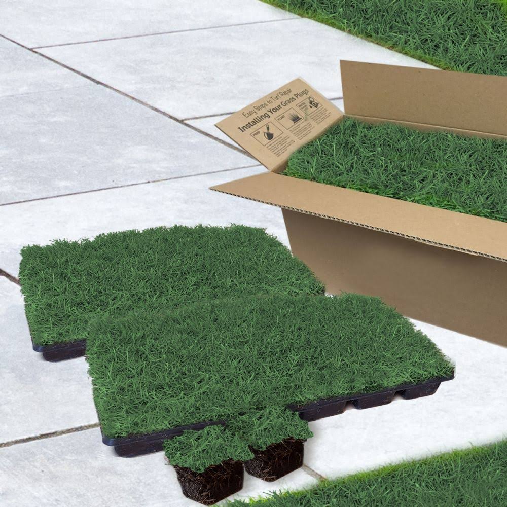 3x22 Grass Plugs 36 Count J778715