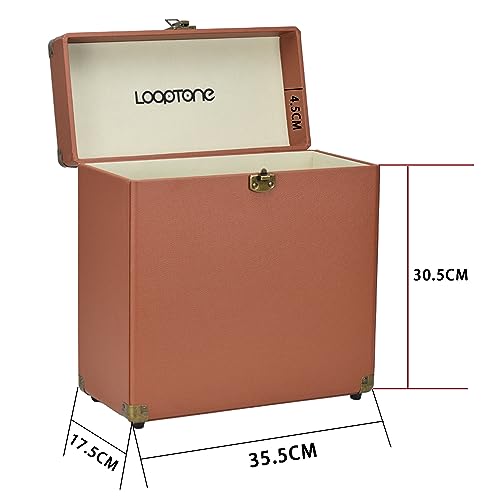 Retro Vinyl Record Storage Carrying Case, Holds 30 Albums, Large Size Carrier Suitcase D732