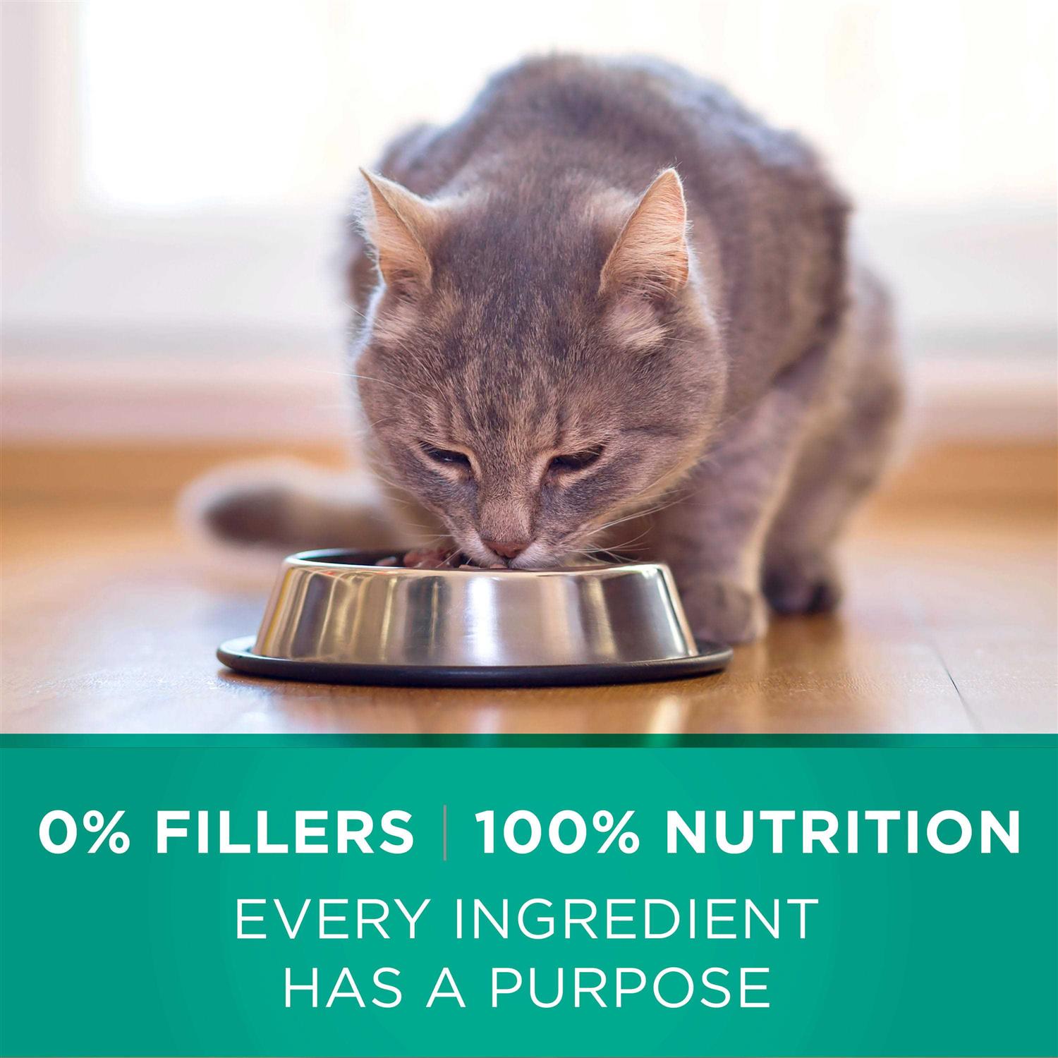 Dry Cat Food E962